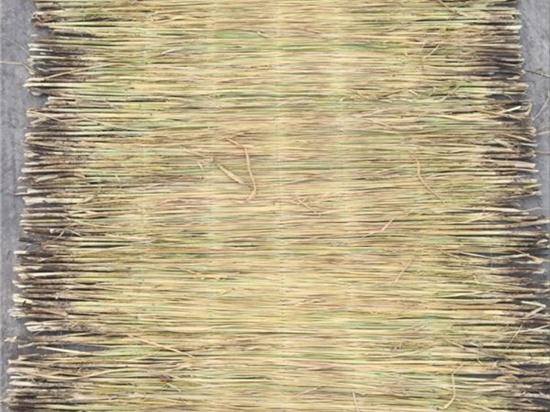 鋪路草苫:打造美麗環(huán)境的綠色道路材料 鋪路草苫:打造美麗環(huán)境的綠色道路材料