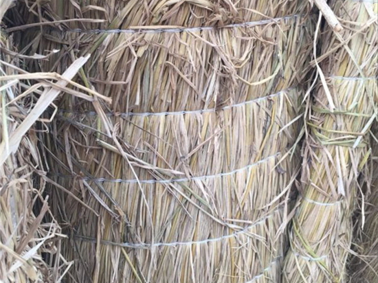 煤礦草簾：有效控制礦井火災(zāi)，守護(hù)礦工生命安全