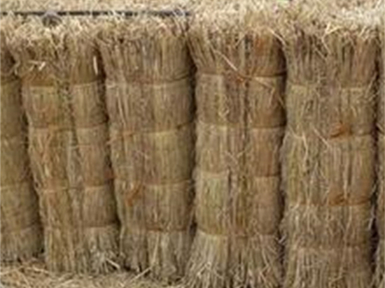 護坡草簾:為城市增添自然生機與活力 護坡草簾:為城市增添自然生機與活力