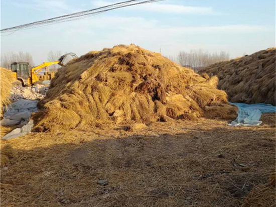 鐵路草簾的美學設(shè)計與建設(shè)技術(shù) 鐵路草簾的美學設(shè)計與建設(shè)技術(shù)