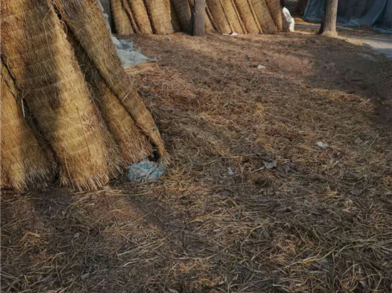 品質(zhì)第一：如何確保選擇優(yōu)質(zhì)的草苫廠家？