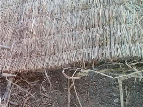 選購草簾廠的關鍵步驟詳解