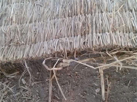 護(hù)坡草簾：保護(hù)水源，守護(hù)清澈河流的生態(tài)屏障