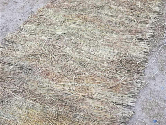 草簾廠選購(gòu)要點(diǎn)詳解 草簾廠選購(gòu)要點(diǎn)詳解