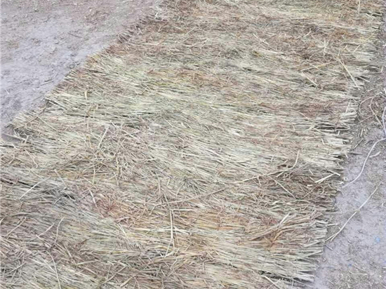 護(hù)坡草簾：保護(hù)水源，守護(hù)清澈河流的生態(tài)屏障