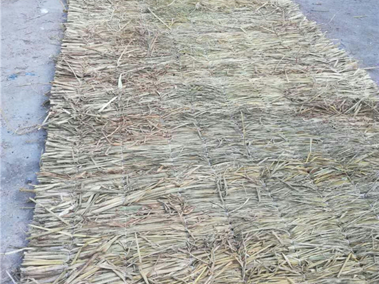 煤礦草苫對礦井空氣質(zhì)量的影響研究成果分享