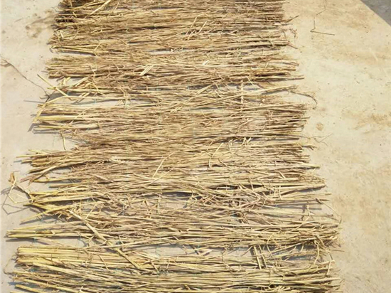 草苫加工技術：為農(nóng)業(yè)綠色發(fā)展注入新動力
