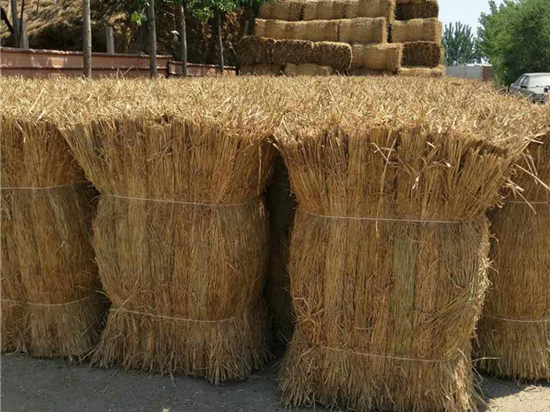 煤礦草苫在礦井火災(zāi)中的應(yīng)用價(jià)值分析 煤礦草苫在礦井火災(zāi)中的應(yīng)用價(jià)值分析