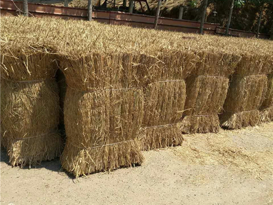 選擇草苫廠家的實(shí)用指南：從定價(jià)到交貨時(shí)間的全面考量