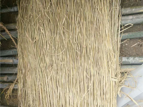 如何判斷草簾廠的生產(chǎn)能力？