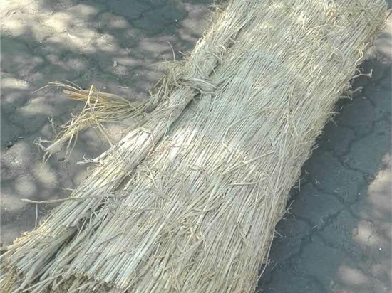 草苫加工技術(shù)：面向未來的戰(zhàn)略性新興產(chǎn)業(yè)