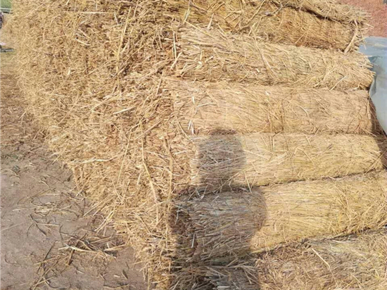 草苫加工技術(shù):農(nóng)業(yè)生產(chǎn)中的新趨勢 草苫加工技術(shù):農(nóng)業(yè)生產(chǎn)中的新趨勢