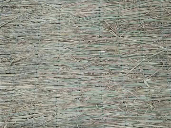 草苫加工技術(shù):將草莓葉子變成美味佳肴的新嘗試 草苫加工技術(shù):將草莓葉子變成美味佳肴的新嘗試