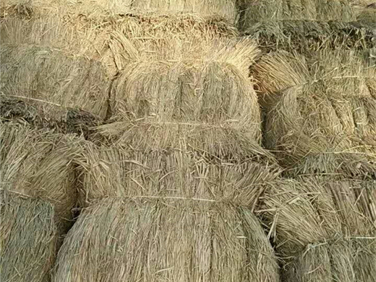 煤礦草簾:構(gòu)建和諧共贏的礦業(yè)發(fā)展新模式 煤礦草簾:構(gòu)建和諧共贏的礦業(yè)發(fā)展新模式