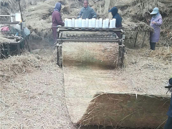 煤礦草苫:提高礦工工作舒適度的關(guān)鍵因素分析 煤礦草苫:提高礦工工作舒適度的關(guān)鍵因素分析