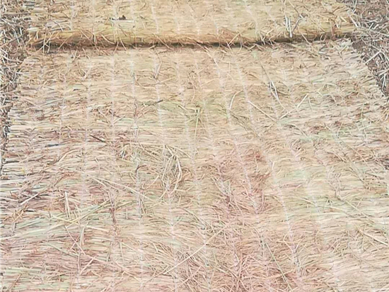 煤礦草苫:改善礦井排瓦斯效果的利器研究 煤礦草苫:改善礦井排瓦斯效果的利器研究