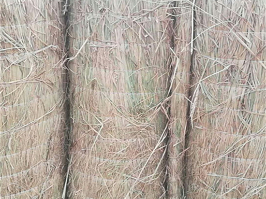 煤礦草苫對礦井溫度的調(diào)控作用新發(fā)現(xiàn)