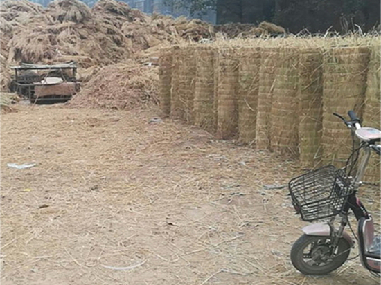 挑選草苫廠:關(guān)鍵因素及風(fēng)險控制策略 挑選草苫廠:關(guān)鍵因素及風(fēng)險控制策略