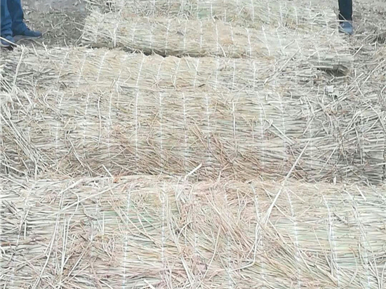 如何根據(jù)農(nóng)田大小選擇草苫規(guī)格？一文搞定草苫尺寸問題