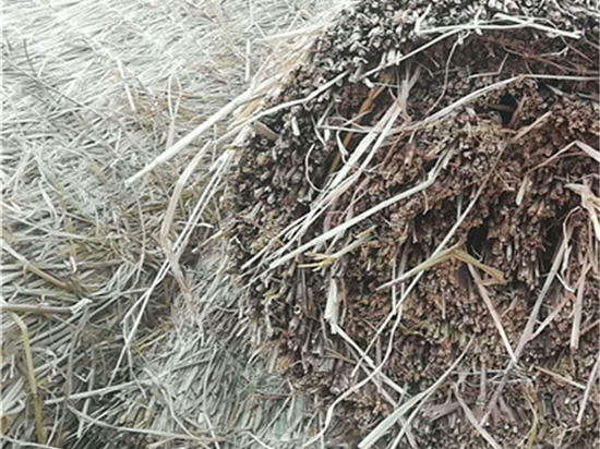 煤礦草苫:改善礦井排瓦斯效果的利器研究 煤礦草苫:改善礦井排瓦斯效果的利器研究