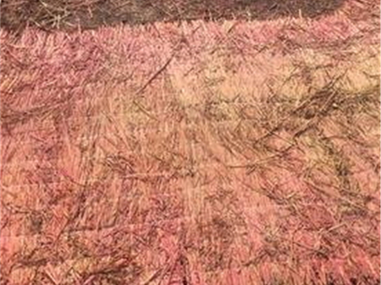 選擇草簾廠的關(guān)鍵因素 選擇草簾廠的關(guān)鍵因素