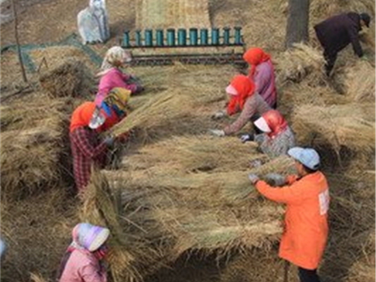 煤礦草苫在礦井防火系統(tǒng)中的應(yīng)用前景展望