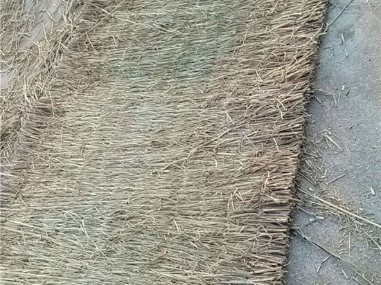 利用草苫進行土壤改良的實踐與探索