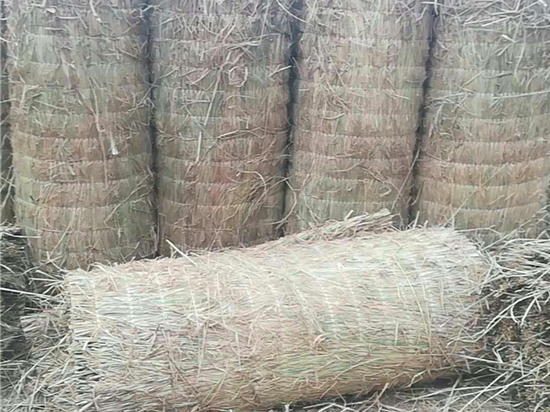 煤礦草苫:改善礦井排瓦斯效果的利器研究 煤礦草苫:改善礦井排瓦斯效果的利器研究