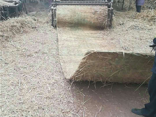 綠化草苫的養(yǎng)護(hù)方法詳解(綠化基本養(yǎng)護(hù)方法) 綠化草苫的養(yǎng)護(hù)方法詳解(綠化基本養(yǎng)護(hù)方法)