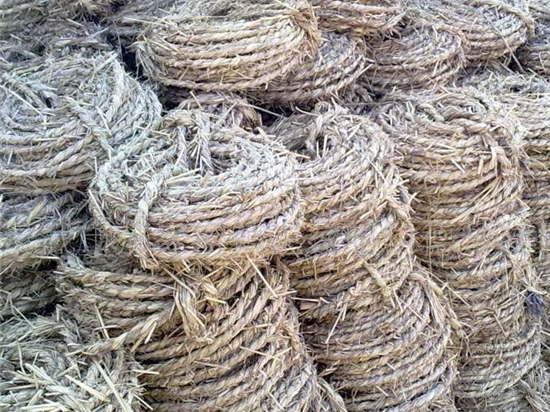 園林綠化草繩品質(zhì)與價(jià)格詳解 園林綠化草繩品質(zhì)與價(jià)格詳解
