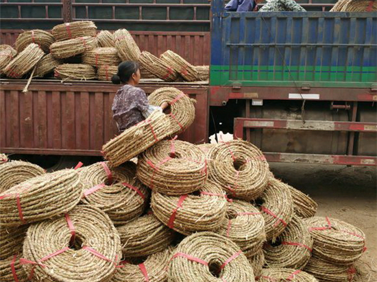 內(nèi)蒙防風(fēng)治沙草繩廠家的發(fā)展趨勢(shì)