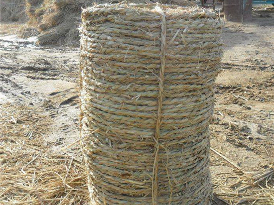 內(nèi)蒙防風治沙草繩廠家的發(fā)展趨勢 內(nèi)蒙防風治沙草繩廠家的發(fā)展趨勢