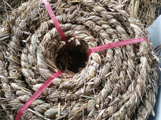 草繩在設備包裝中的發(fā)展趨勢 草繩在設備包裝中的發(fā)展趨勢