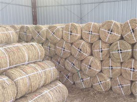 園林綠化保濕保溫草繩:市場前景與趨勢 園林綠化保濕保溫草繩:市場前景與趨勢