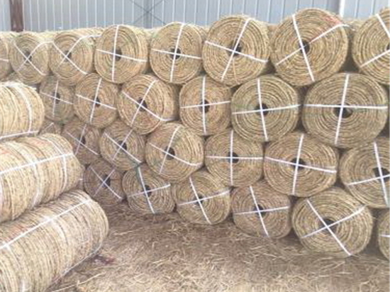 草繩在內(nèi)蒙防風(fēng)治沙中的環(huán)保效益 草繩在內(nèi)蒙防風(fēng)治沙中的環(huán)保效益