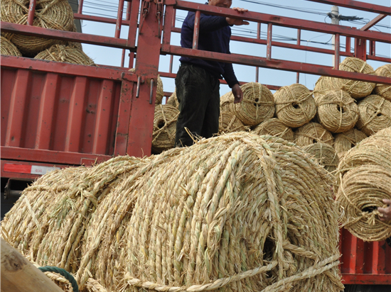草繩在內(nèi)蒙防風(fēng)治沙中的應(yīng)用前景 草繩在內(nèi)蒙防風(fēng)治沙中的應(yīng)用前景