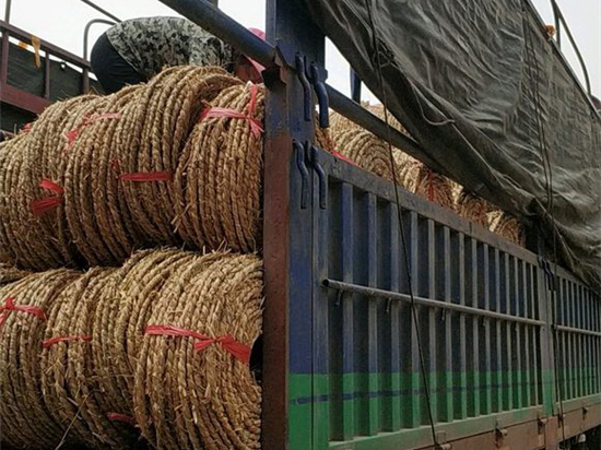 園林綠化保濕保溫草繩的作用與優(yōu)勢 園林綠化保濕保溫草繩的作用與優(yōu)勢