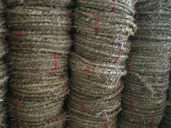 草繩在園林綠化中的施工方法與要求 草繩在園林綠化中的施工方法與要求