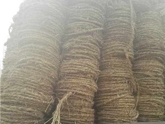 草繩在園林綠化中的保濕作用 草繩在園林綠化中的保濕作用