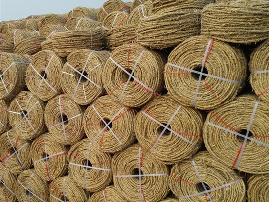 園林綠化保濕保溫草繩的選購(gòu)與施工指南 園林綠化保濕保溫草繩的選購(gòu)與施工指南