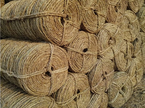 園林綠化保濕保溫草繩在植物養(yǎng)護(hù)中的應(yīng)用 園林綠化保濕保溫草繩在植物養(yǎng)護(hù)中的應(yīng)用