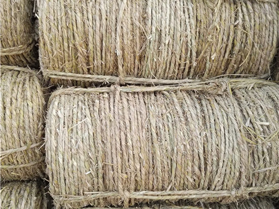 內(nèi)蒙防風(fēng)治沙草繩廠家品質(zhì)與服務(wù)并重 內(nèi)蒙防風(fēng)治沙草繩廠家品質(zhì)與服務(wù)并重