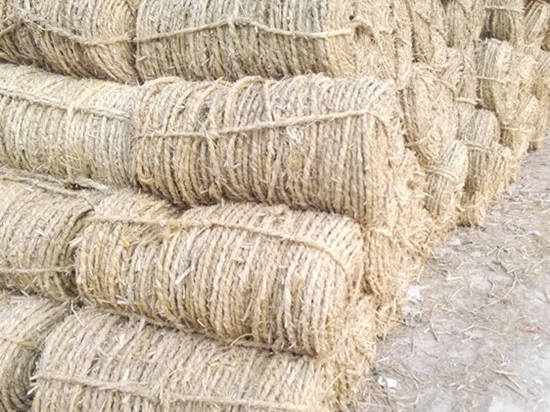 內(nèi)蒙防風(fēng)治沙草繩廠家的發(fā)展趨勢(shì) 內(nèi)蒙防風(fēng)治沙草繩廠家的發(fā)展趨勢(shì)