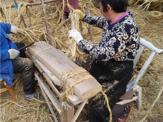 園林綠化保濕保溫草繩的作用與優(yōu)勢 園林綠化保濕保溫草繩的作用與優(yōu)勢