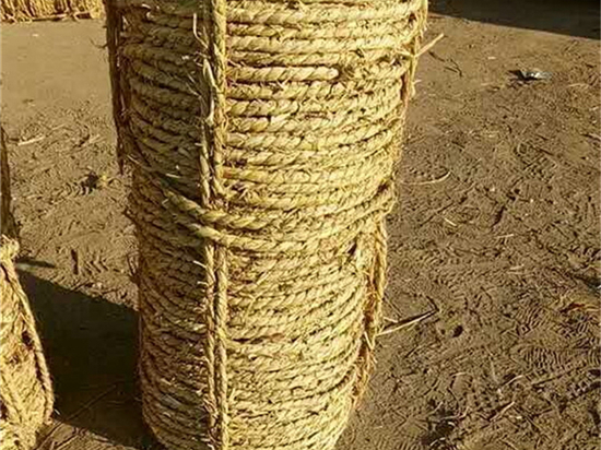 內(nèi)蒙防風治沙草繩廠家的發(fā)展趨勢 內(nèi)蒙防風治沙草繩廠家的發(fā)展趨勢