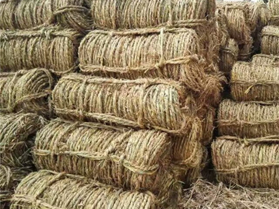 草繩在內(nèi)蒙防風治沙中的景觀美化 草繩在內(nèi)蒙防風治沙中的景觀美化