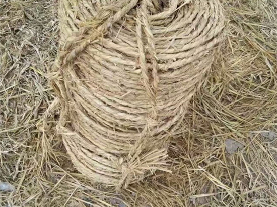 內(nèi)蒙防風治沙草繩廠家的發(fā)展趨勢 內(nèi)蒙防風治沙草繩廠家的發(fā)展趨勢