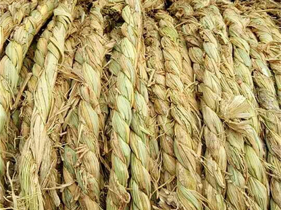 園林綠化草繩的選材與工藝 園林綠化草繩的選材與工藝