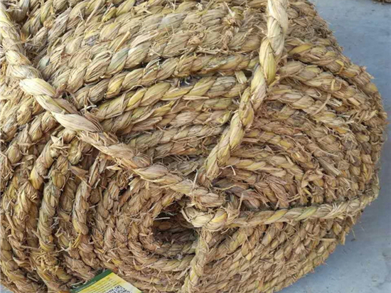 園林綠化保濕保溫草繩選購指南 園林綠化保濕保溫草繩選購指南