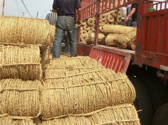 草繩在內(nèi)蒙防風(fēng)治沙中的景觀優(yōu)化作用 草繩在內(nèi)蒙防風(fēng)治沙中的景觀優(yōu)化作用
